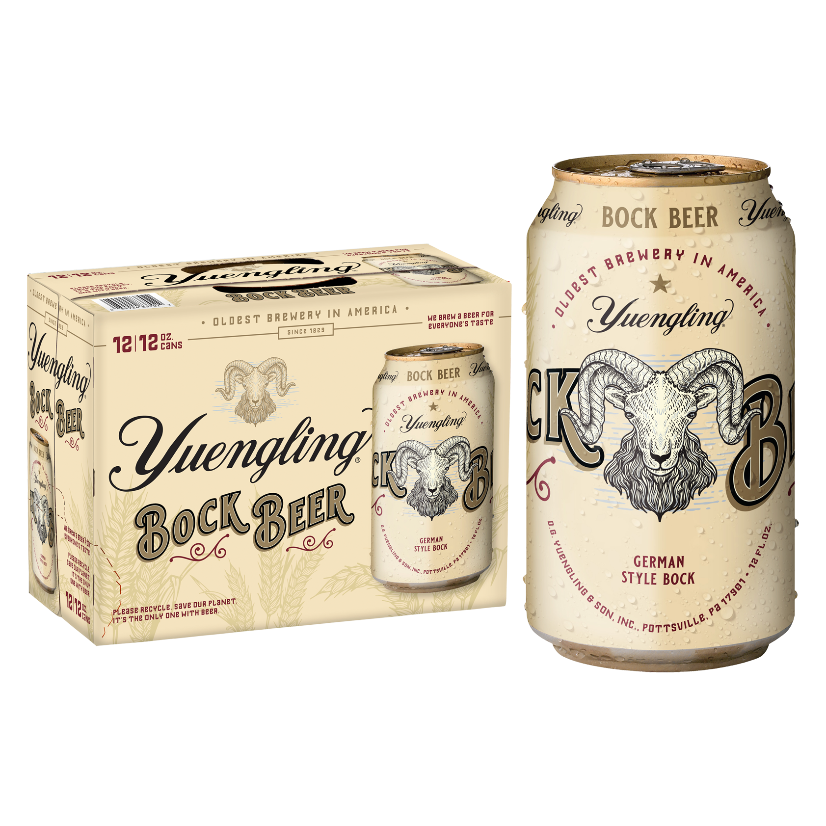 Yuengling Bock Beer 12pk 12oz Can 5.3% ABV