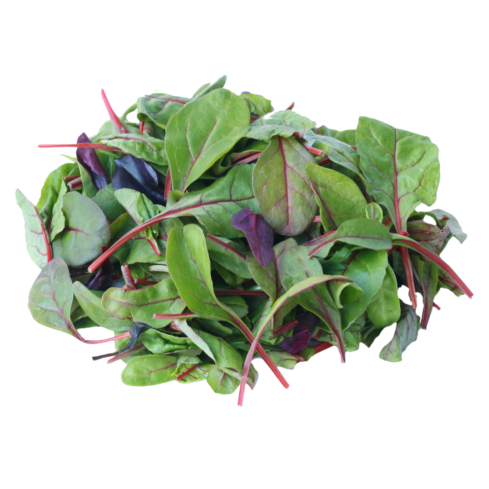 Baby Leaf Salad, 100g