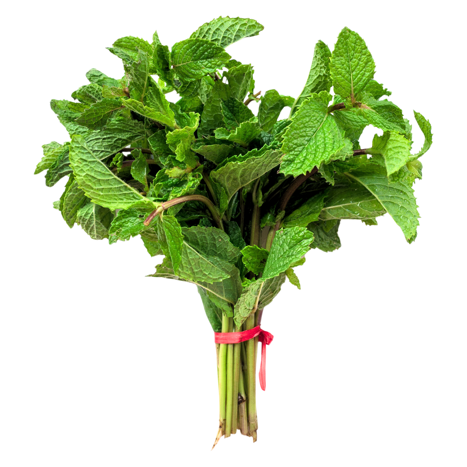 Wholegood Mint, 30g