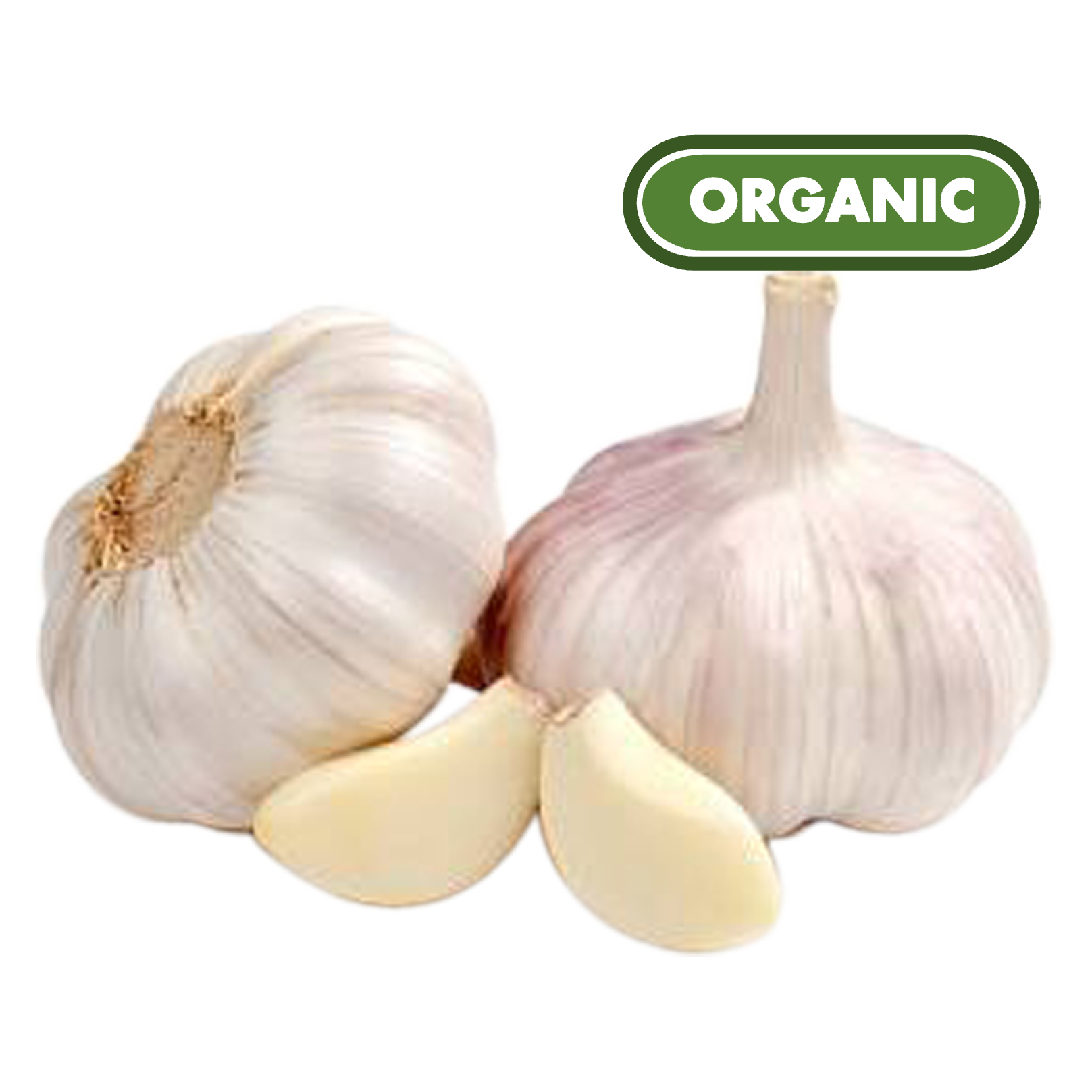 Organic Garlic - 3ct