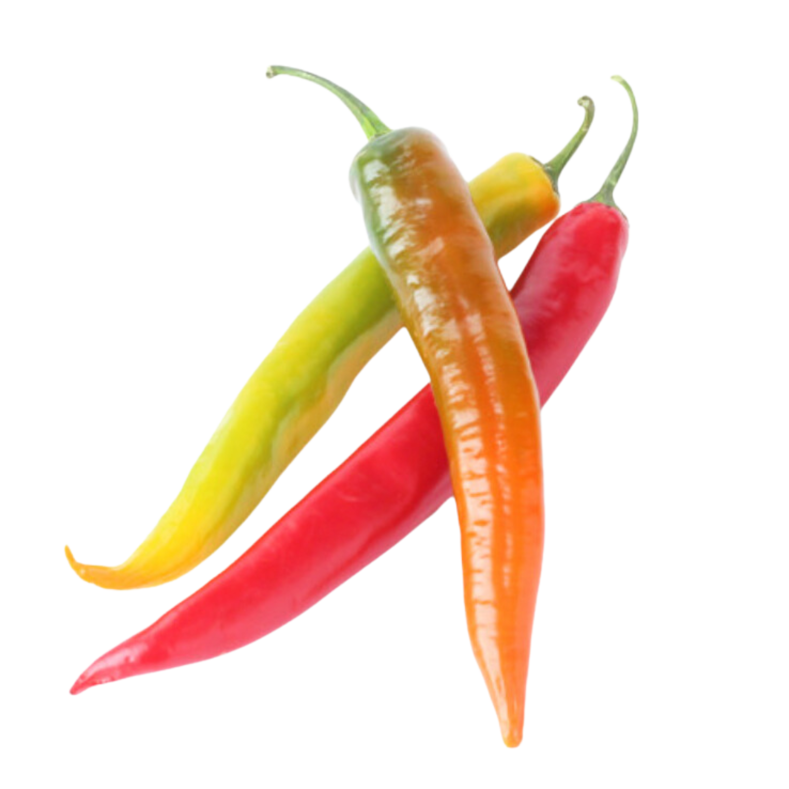 Wholegood Mixed Chillies, 40g